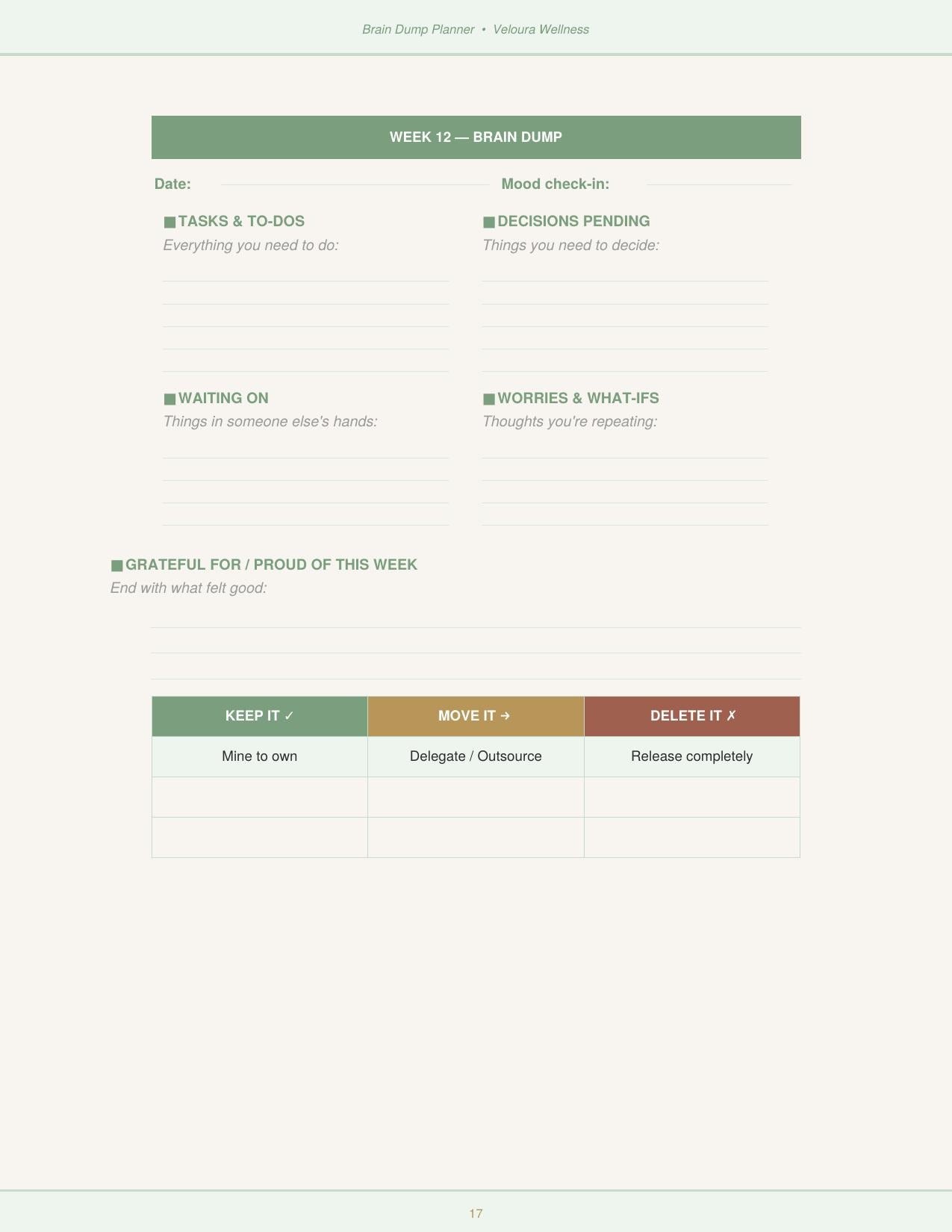 The Brain Dump Planner
